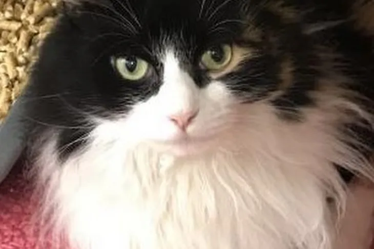 SEV Humane Society