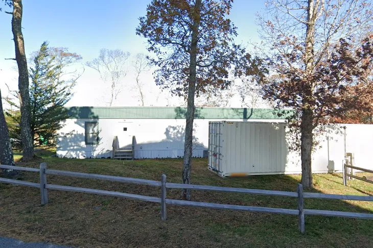 Vineyard Haven Animal Control