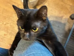 Minnie