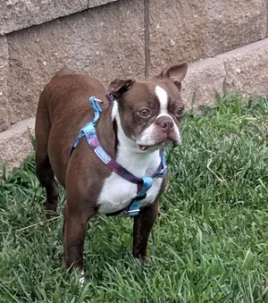 Kelsey in NE