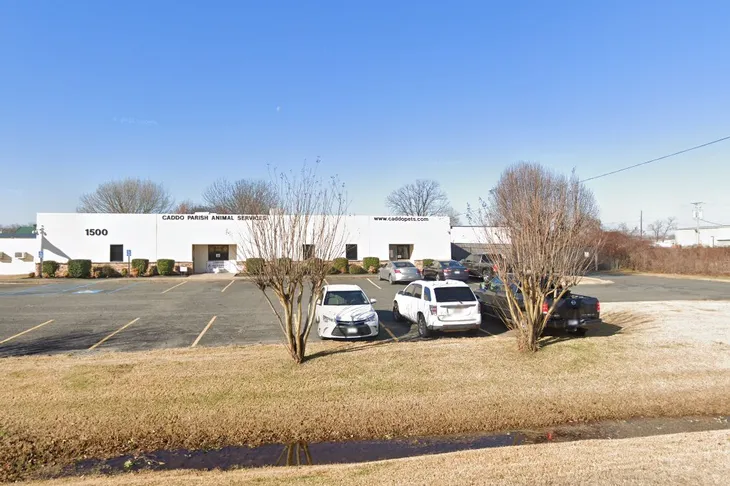 Caddo Parish Animal Control