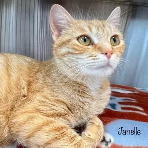 Janelle