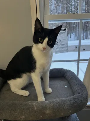 Matilda