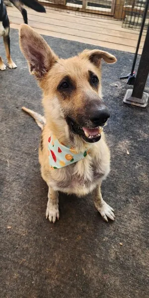 Max