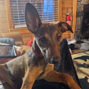 Winnie