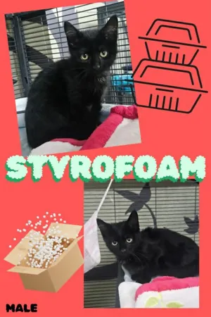 Styrafoam