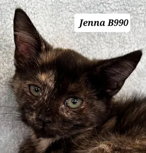 Jenna