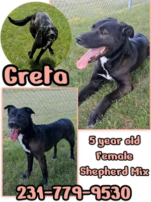 GRETA