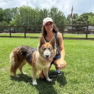 Shasha Honey the Gorgeous Good Girl