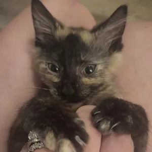 Mia