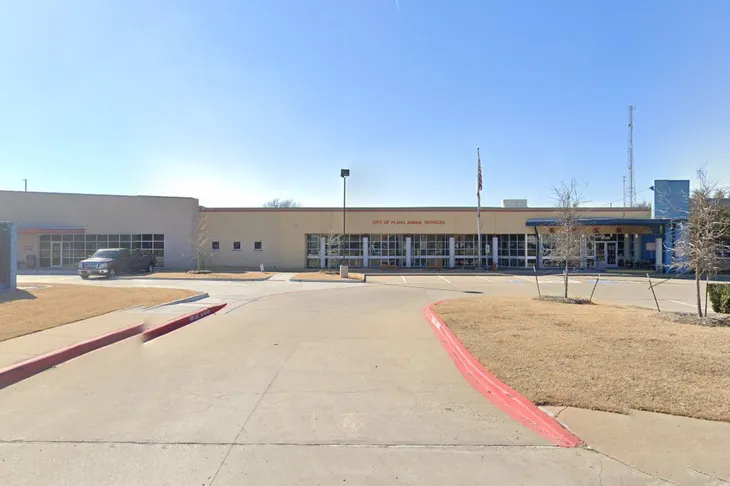 City of Plano: Animal Services