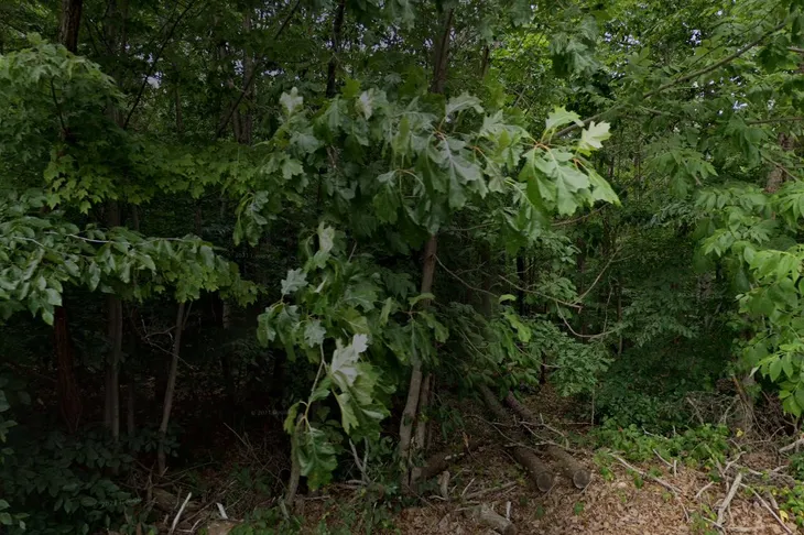 Humane Society of Amherst County