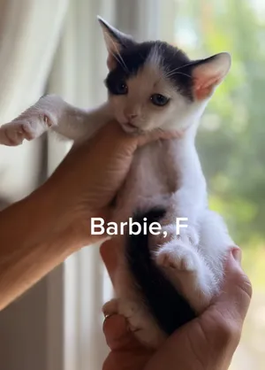 Barbie
