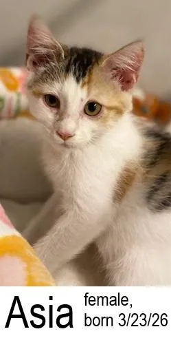 Asia