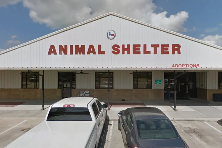 Montgomery County Animal Shelter