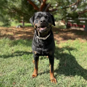 Keeria***ADOPTION PENDING***