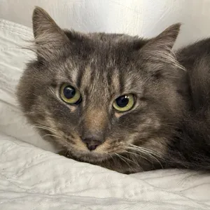 Sebastian