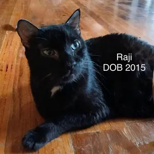 Raji