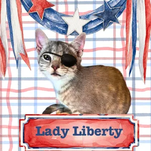 Lady Liberty