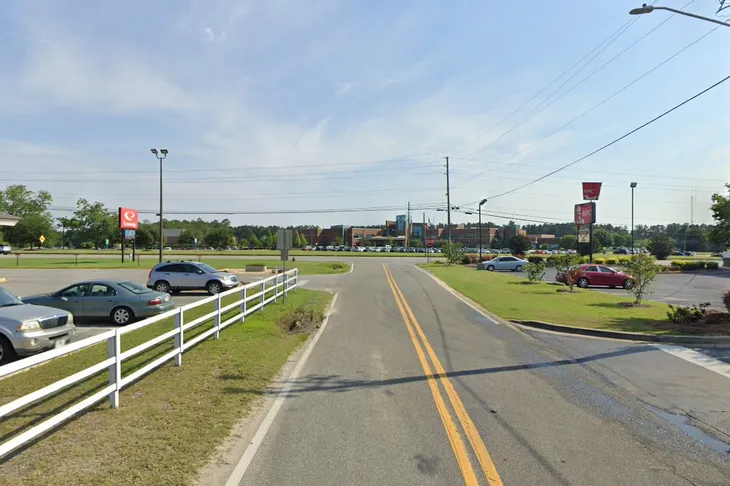 Vidalia Animal Control