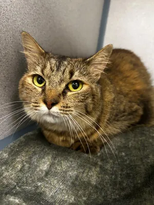 Bernie