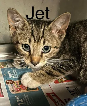 Jet