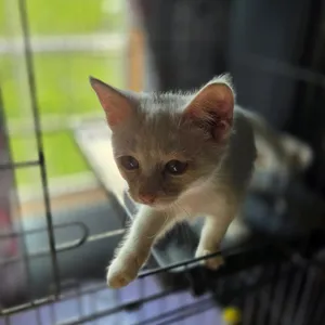 Jenny