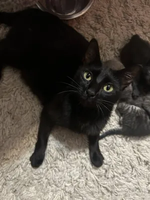 Mama Margarita