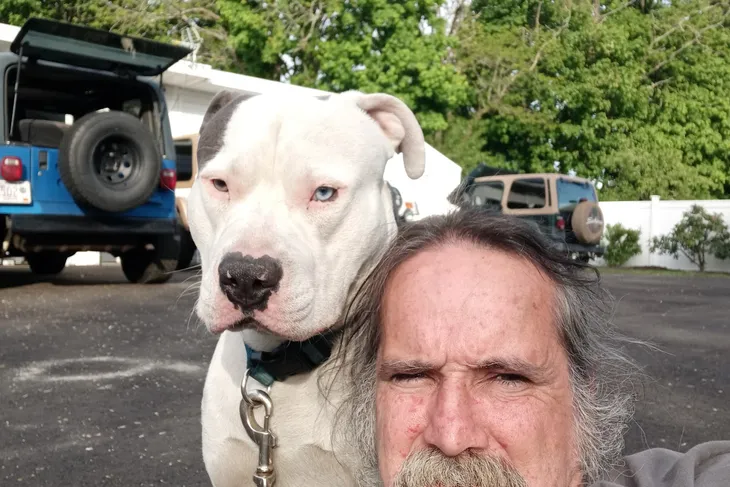 Mansfield Animal Control