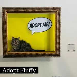 Fluffy