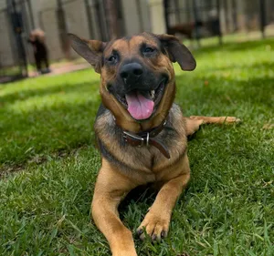 Diego