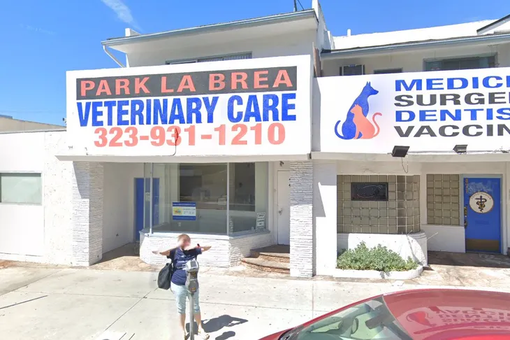 Cat and Dog Rescue Association
