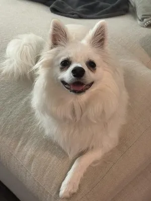 Luna of Charleston, SC