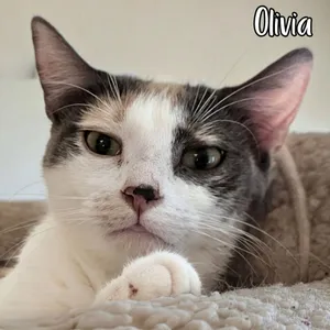 Olivia