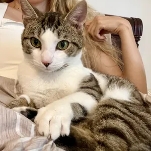 RUFUS