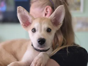 Milo