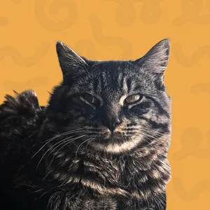 Skippy