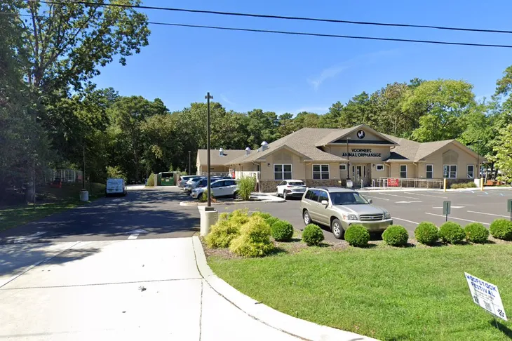 Animal Orphanage