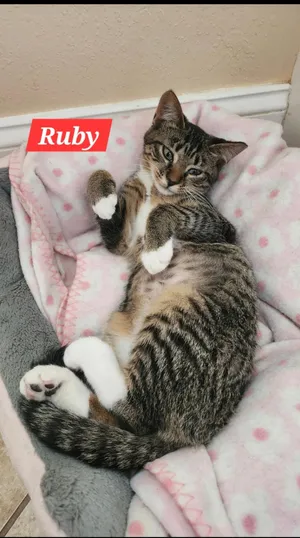 Ruby