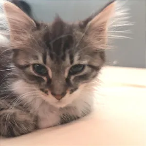 Awake and Confused