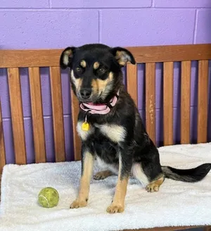 **FREYA**