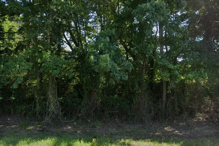 Bastrop Animal Shelter