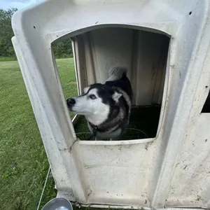 Milo