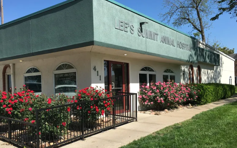 14 Best Vets In Kansas City