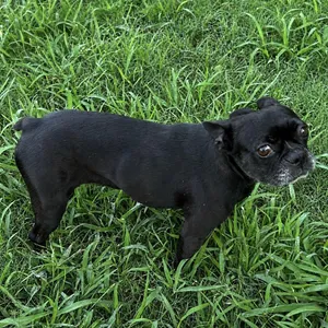 Dottie