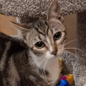 Eloise