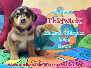 Dr. Suess Litter - Thidwick