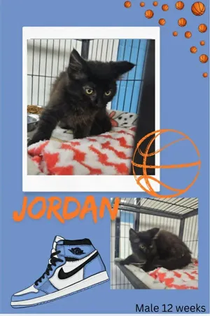Jordan