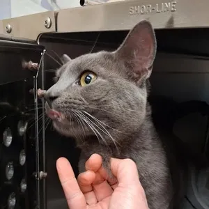 Edgar