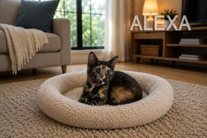 Alexa
